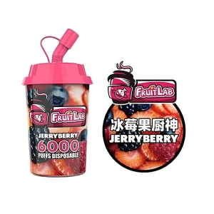 Fruit Lab Disposable Vape 6000 Puffs 15ml – Jerryberry