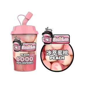 Fruit Lab Disposable Vape 6000 Puffs 15ml – Peach
