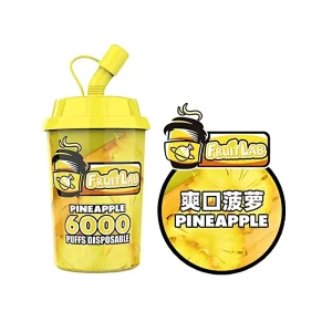 Fruit Lab Disposable Vape 6000 Puffs 15ml – Pineapple