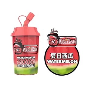 Fruit Lab Disposable Vape 6000 Puffs 15ml – Watermelon